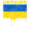 Ukraine flag