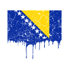 Bosnia flag