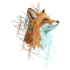 Happy the Fox