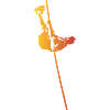 Pole vault