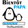 bientôt papa pingouin,futur père