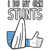 I Do My Own Stunts