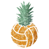 Ananas de volley-ball