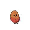 pomme de terre