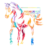 Arabian horse