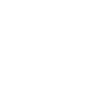 Lawyer