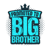 Großer Bruder