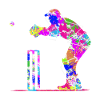 Cricket game