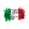 Italy Italy Auto Flag