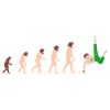 Evolution Capoeira Funny gift idea