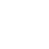 Grizzly bear