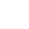 La vigne V1 blanc