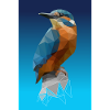 Kingfisher low poly
