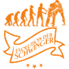 schwinger evolution