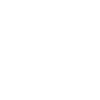 Lockpicking Dietrich Schlüssel