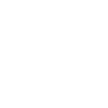COACH - Dictionary