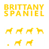 Stubborn Brittany Spaniel Tricks