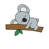 Pas aujourd'hui Koala