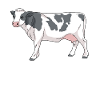 Cartoon cow with spots