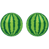 Melon Bikini Costume Bra