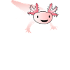 I Axolotl Questions
