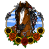 Pferd Hippie