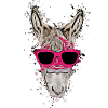 Party Donkey 2023