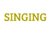 Chanteur musicien chanteur