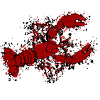 lobster lobster