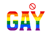 Gay Pride Gay saying gay
