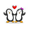 Penguin couple