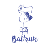 Baltrum Moewe