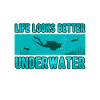 Life looks better underwater