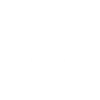 Dachshund skateboarding