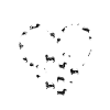 Dachshund footprint