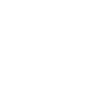 Mindset Is Everything Cat Lion