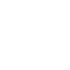 Mindset Is Everything Dog Wolf