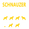 Stubborn Schnauzer Tricks