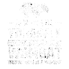 Wombats wombat