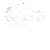 Wombats Wombat Evolution