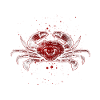 Crabe océan mer