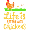 Chicken Chicken Egg Organic