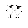 Two cute sheep holding hands