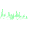 Fir, spruce, forest
