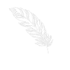 Cadeau indien plumes plumes