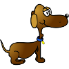 dachshund