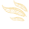 golden feathers