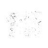 photographer