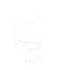Space star astronaut