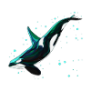 Orca